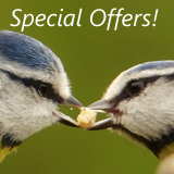 Wild Bird Care Special Offers